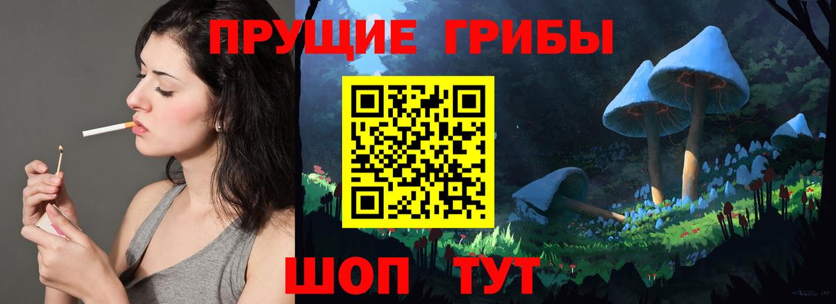 Вязники  Галлюциногенные грибы Psilocybine cubensis  Вход с VPN 